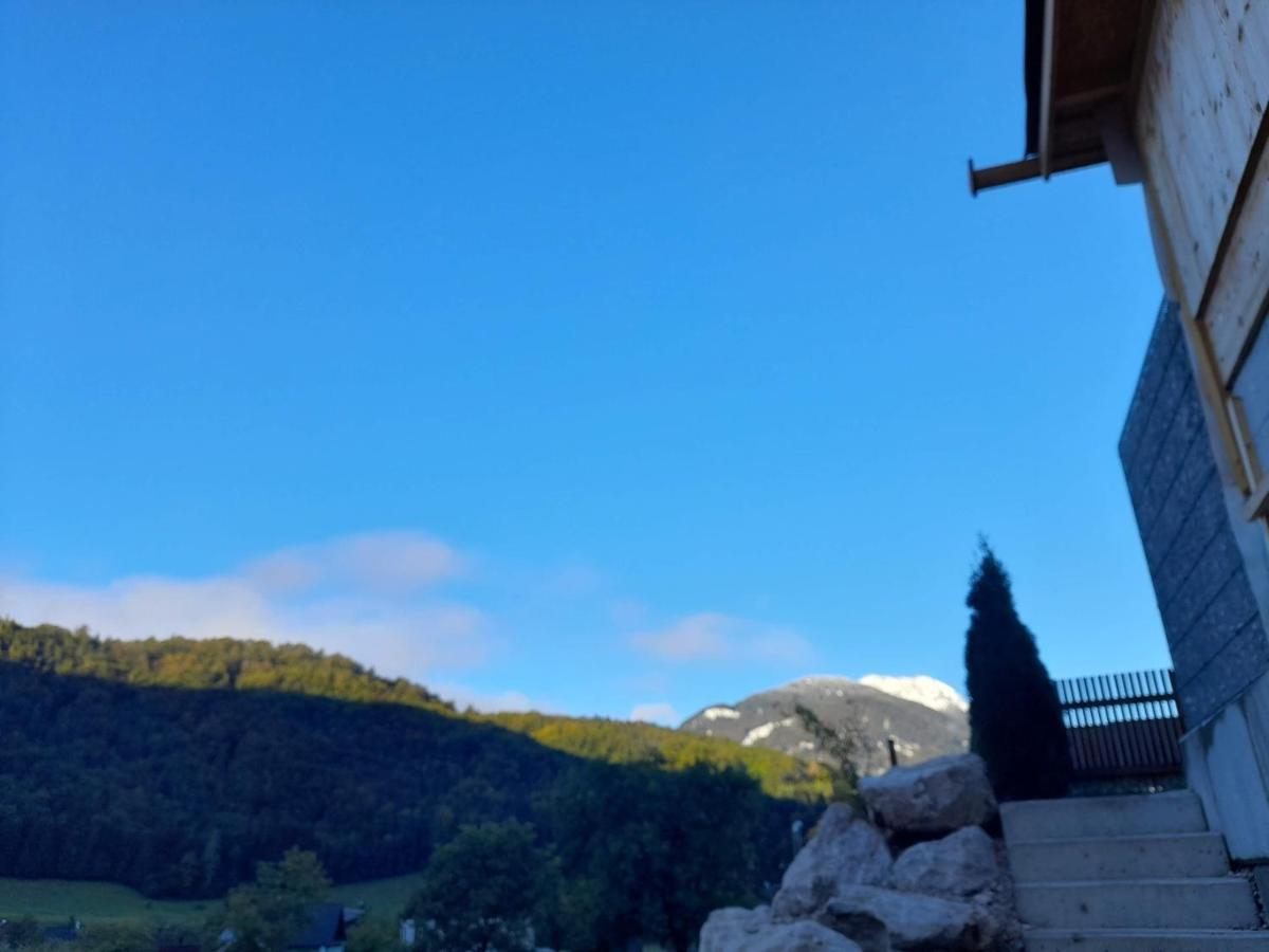 Auszeit Am Weinbuehel Daire Bad Ischl Dış mekan fotoğraf